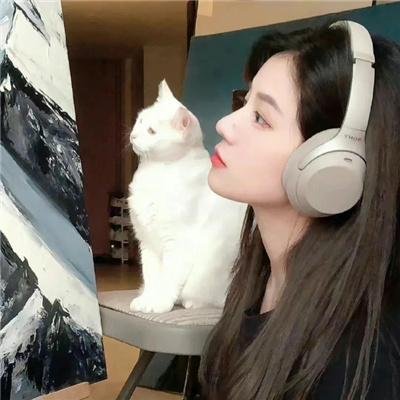 动画综艺